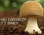 mushroom-06