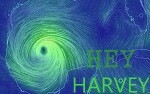 HARVEY